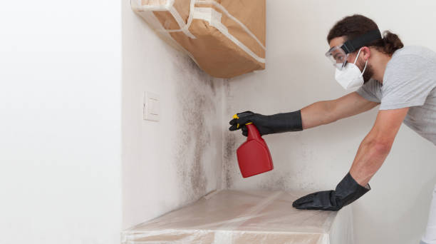 Professional Bathroom Mold Removal technician working in Florence, AZ
