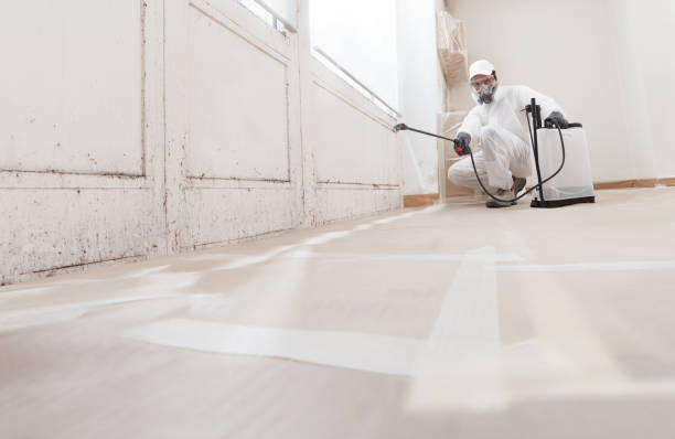 24/7 Emergency Bathroom Mold Removal experts in Florence, AZ